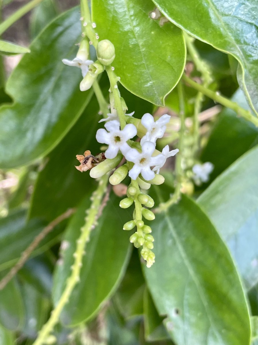 Andrew Kearns tweet media