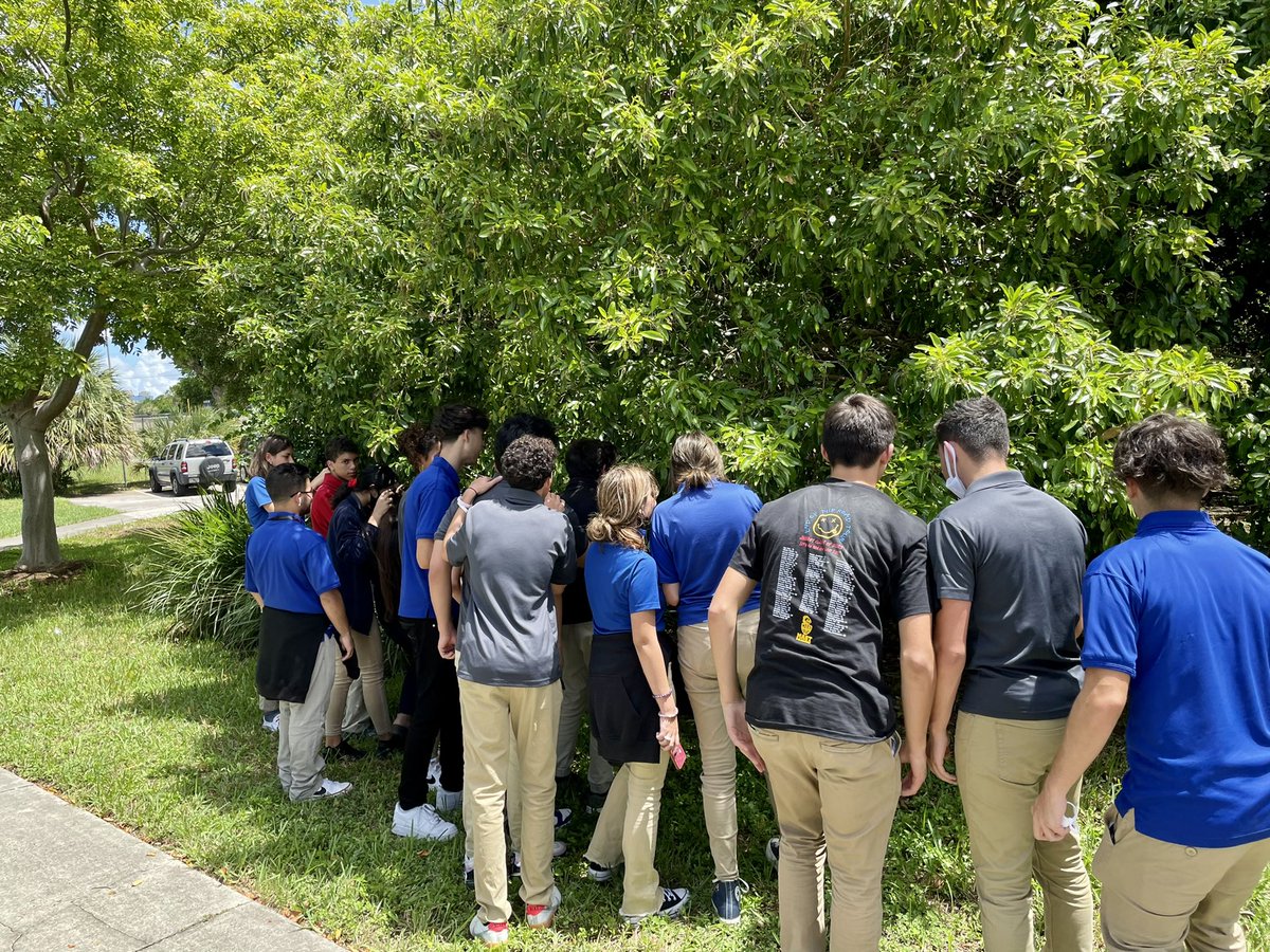 Andrew Kearns tweet media