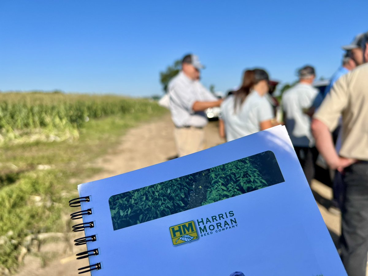 StokeSeeds's tweet photo. Received an “ear” full 🌽 of info during our Summer Corn Trials with @hmc_usa 

#StartWithStokes #corntrials #agriculture #agricultureandfarming #cornfarm #stokeseeds #harrismoran #hmclause https://t.co/GZU3MX1EDr