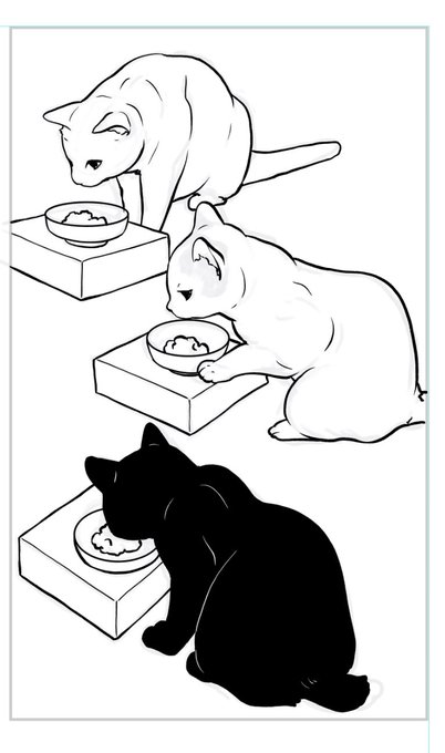 今描いてる漫画の一コマ。
すごく気に入ったのが描けたので
今日はねるる。おやすにゃ〜 