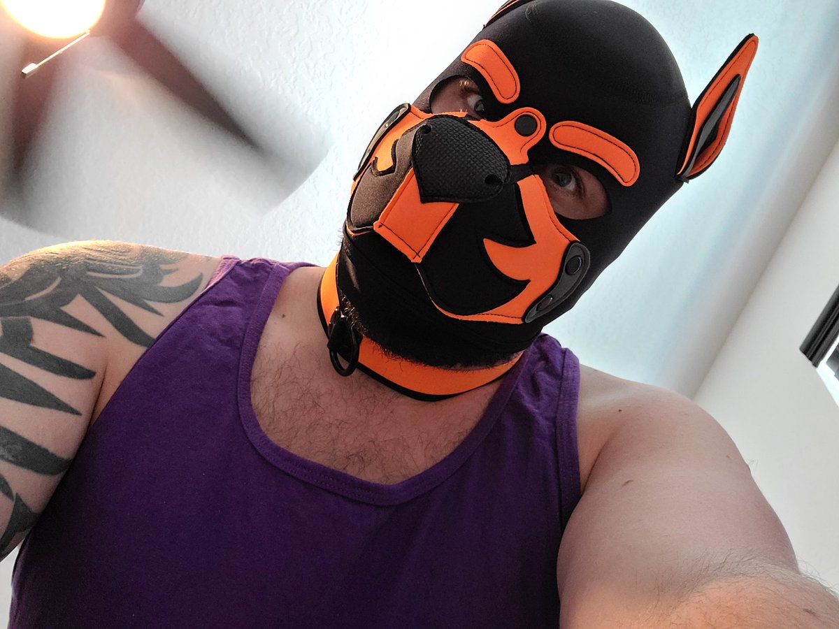 PupSabin's tweet photo. You seem to have a pup on top of you....are you sure you know how to handle it?

#gaypup #humanpup #pupplay https://t.co/cZU9QHXJct
