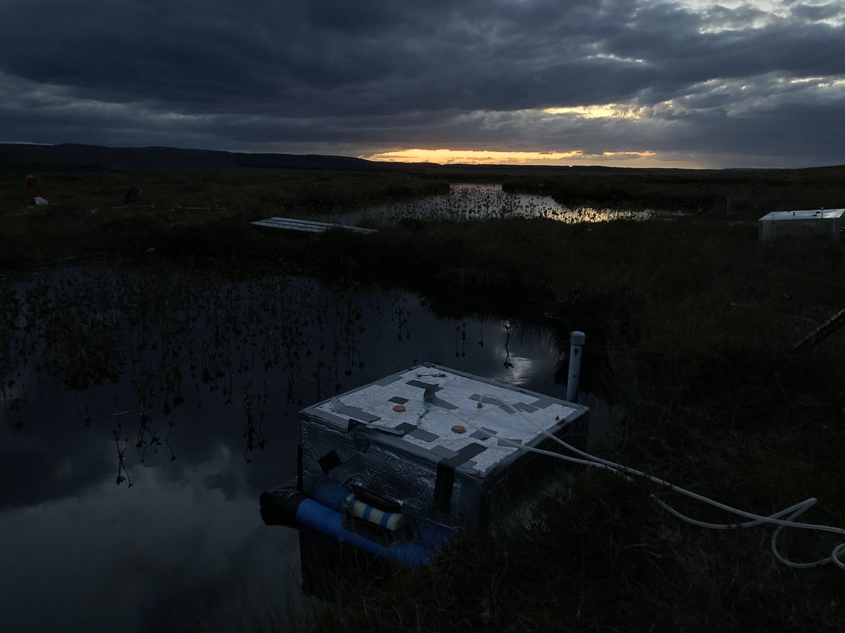 Nighttime fieldwork underway with @PeteOnPeat