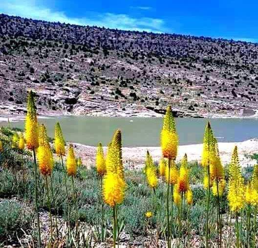 abjaan1's tweet photo. My Sweet home District Ziarat https://t.co/3KHv2VHgkK
