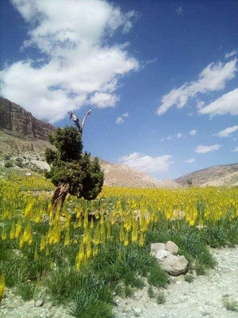 abjaan1's tweet photo. My Sweet home District Ziarat https://t.co/3KHv2VHgkK