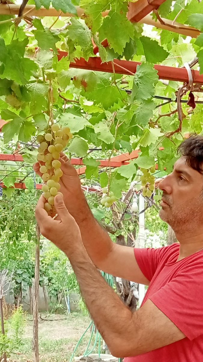 ayukselk's tweet image. Şehrin gürültüsünden uzak doğa ile iç içe yaşamak 🌳🌸