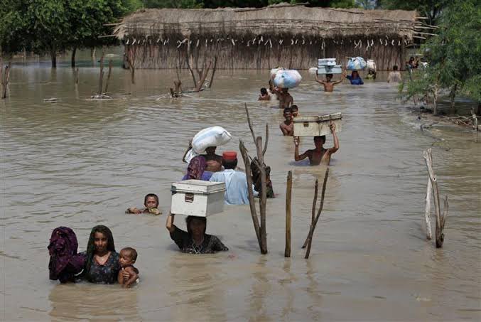 Pardeep Gulab (@pardeepgulab) on Twitter photo Sindh needs relief.
<a href="/WFP/">World Food Programme</a> <a href="/WFP_Media/">WFP Media</a> <a href="/UNHumanRights/">UN Human Rights</a> <a href="/UN/">United Nations</a> <a href="/UNFAO/">FAO</a> <a href="/FAOPakistan/">FAOPakistan</a> <a href="/FAO/">Food and Agriculture Organization</a> <a href="/POTUS/">President Donald J. Trump</a> <a href="/UNDRR/">UNDRR</a> <a href="/UNOCHA/">UN Humanitarian</a> <a href="/ICRC/">ICRC</a> <a href="/RESCUEorg/">IRC - International Rescue Committee</a> <a href="/WHO/">World Health Organization (WHO)</a> <a href="/ifrc/">IFRC</a> <a href="/GFDRR/">GFDRR</a> <a href="/WorldVision/">World Vision</a> <a href="/OIC_OCI/">OIC</a> <a href="/UNICEF/">UNICEF</a> <a href="/BBCWorld/">BBC News (World)</a> Sindh needs relief.
<a href="/WFP/">World Food Programme</a> <a href="/WFP_Media/">WFP Media</a> <a href="/UNHumanRights/">UN Human Rights</a> <a href="/UN/">United Nations</a> <a href="/UNFAO/">FAO</a> <a href="/FAOPakistan/">FAOPakistan</a> <a href="/FAO/">Food and Agriculture Organization</a> <a href="/POTUS/">President Donald J. Trump</a> <a href="/UNDRR/">UNDRR</a> <a href="/UNOCHA/">UN Humanitarian</a> <a href="/ICRC/">ICRC</a> <a href="/RESCUEorg/">IRC - International Rescue Committee</a> <a href="/WHO/">World Health Organization (WHO)</a> <a href="/ifrc/">IFRC</a> <a href="/GFDRR/">GFDRR</a> <a href="/WorldVision/">World Vision</a> <a href="/OIC_OCI/">OIC</a> <a href="/UNICEF/">UNICEF</a> <a href="/BBCWorld/">BBC News (World)</a>