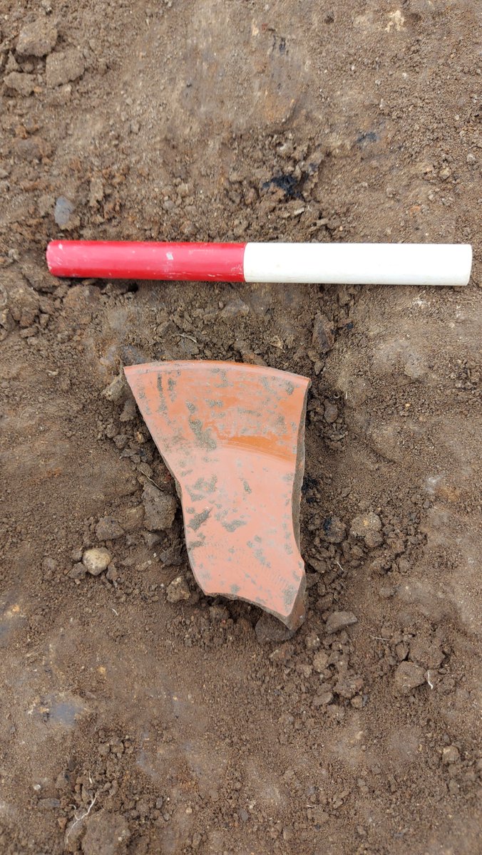 Some Samianware I dug up today at the community dig with <a href="/ExploreThePast/">explorethepast</a>