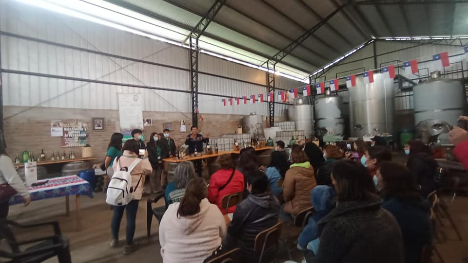 cmquilpue's tweet photo. En el marco de #SemanaTP el Liceo Gastronomía y Turismo desarrolló un circuito turístico por Los Perales🏞🚶🏻♂️
Los guías de la jornada fueron estudiantes de la especialidad Turismo: Ángelo Rojas, Belén Morales y Yannira Vásquez de 4°C y Luis Medina de 3°C✅
Muchas Felicidades👏🏻 https://t.co/qV5tmBOSxG