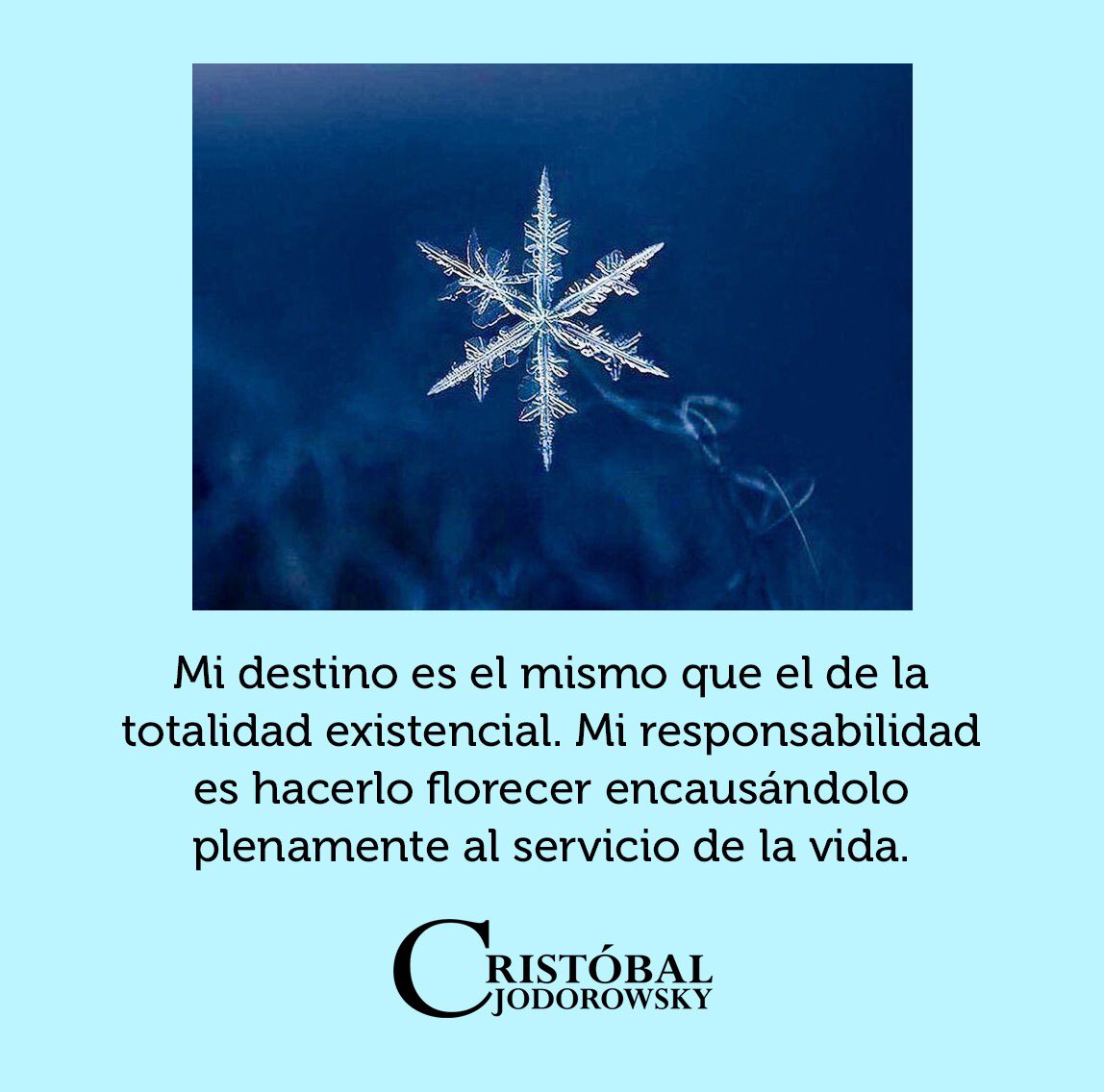 Cristóbal Jodorowsky (@cristobaljod) on Twitter photo 