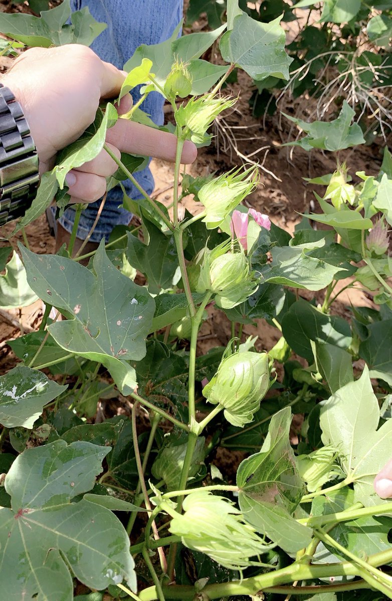 Troy McGann™️ (@troyboymcgann) on Twitter photo 