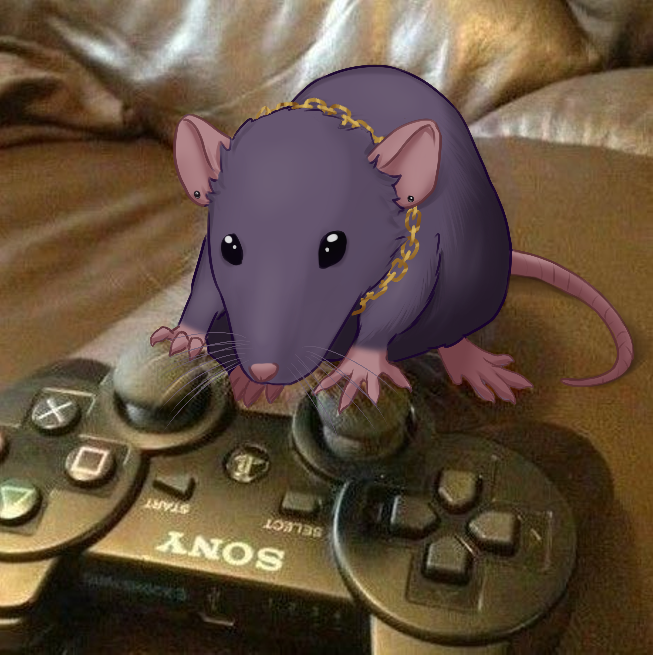 Hellsteas's tweet photo. Posting the shorat pics to commemorate his last stream before the new outfit! 🗡️🐀
#ArtoftheRouge #shomega https://t.co/camLisyjf9