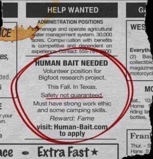 Bigfoots Pad Paranormal Investigations Team tweet media