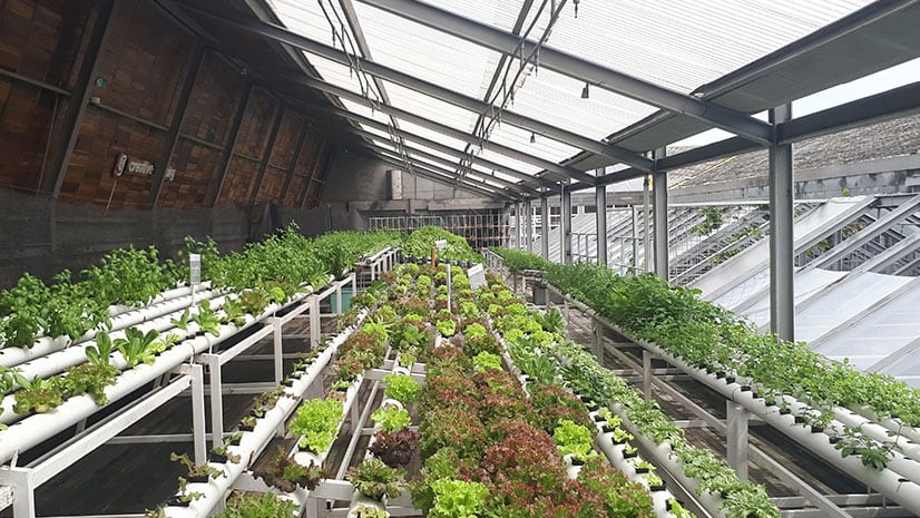 mattharman1's tweet photo. Innovators are moving farms indoors, in big cities, to improve the food supply. Examining the high-tech world of vertical farming  https://t.co/jOL10OIWxk https://t.co/wfngP11C4J
