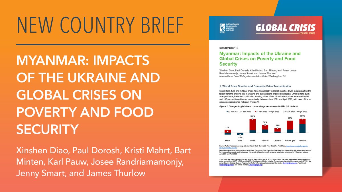 IFPRI's tweet photo. How will #Myanmar be affected by high global commodity prices driven by the war in #Ukraine?

@IFPRI modeling projects economic losses, w/ rural areas facing worst impacts.

Check out the @IFPRI brief (https://t.co/tzvLdRthyf), or read this thread for key takeaways. 🧵👇

@USAID https://t.co/gNmTJVI6vf