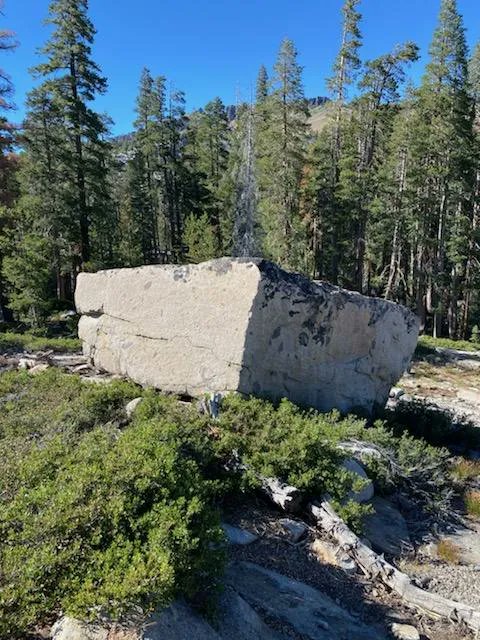 HellBentXpress's tweet photo. When your 30 minute break stretches to an hour to stretch your legs #AmericaIsBeautiful #ProfessionalTourist 🚛 https://t.co/540TyxJwj0