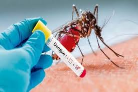 DiarioMayabeque's tweet photo. #Cuba: #Mayabeque está entre las provincias con transmisión del dengue. La convocatoria es a ganarle la batalla al mosquito con mayor higiene en nuestras comunidades y hogares con #autofocal y limpieza. #CubaPorLaVida https://t.co/Y5djjADEmu