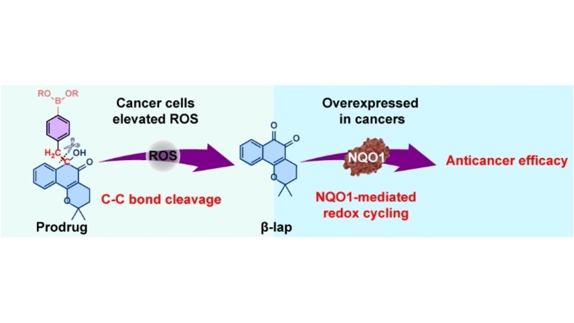 Angewandte Chemie tweet media