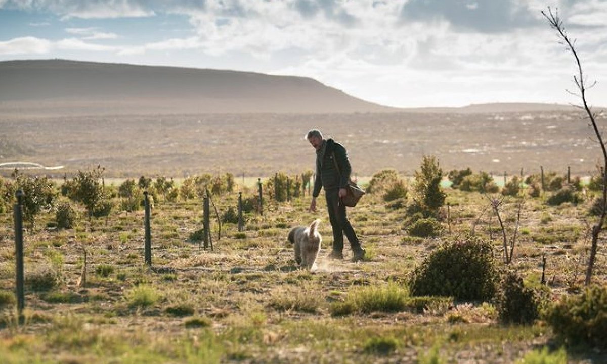 Truffle success boils down to rigorous science.

We give growers hands-on expertise &amp; technology to achieve a successful truffle harvest — all in a partnership arrangement.

Learn more about partnering w/ #AmericanTruffleCompany® on our website.
americantruffle.com