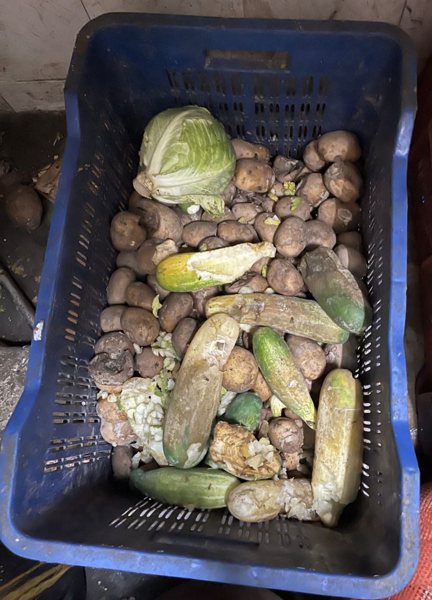 AIIMSRDA's tweet photo. While the stakeholders in hostel administration give more importance to tender contractors, residents are fighting for hygienic food in India's premier Institute of National Importance.
#RIPsystem
@DrJaswantJangra @fooddeptgoi @fssaiindia @mansukhmandviya @aiims_newdelhi https://t.co/B37bVyjuZx