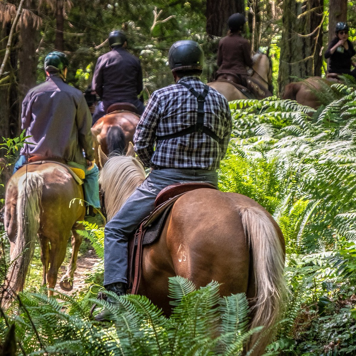 King County Parks tweet media