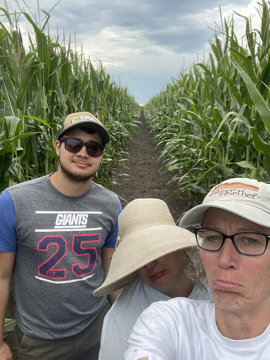 We came. We saw. We assessed. Great looking corn up here at the ISU Northwest Research Farm. Very ver little disease 😔