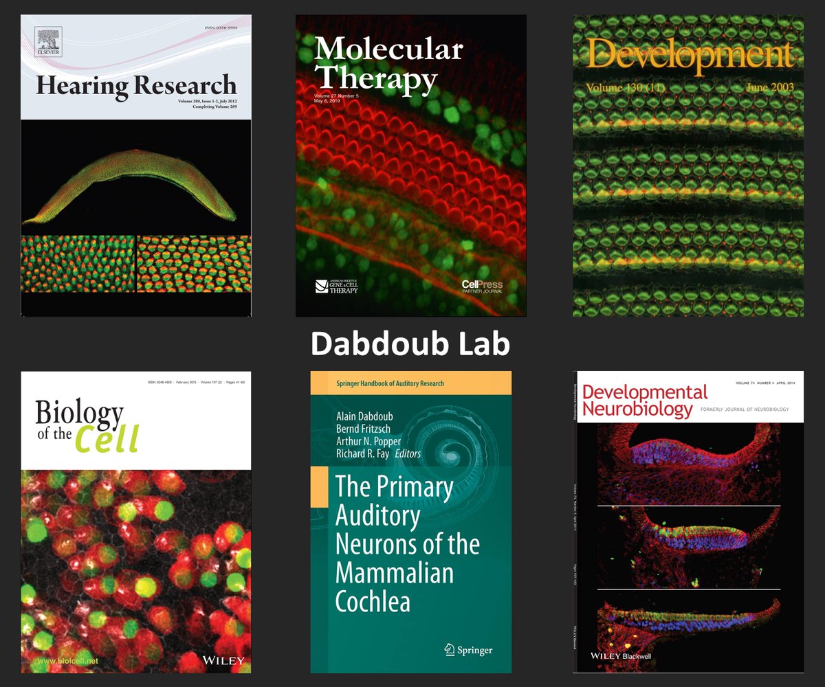 Dabdoub Lab tweet media