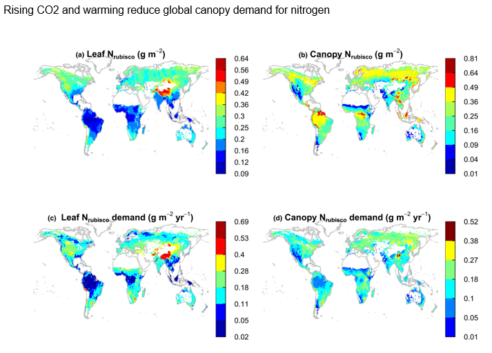 If you are interested in the effects of climate change on plants, and I know that you are, I highly recommend that you have a look at the Viewpoint paper from Ning Dong and co-authors
"Rising CO2 and warming reduce global canopy demand for nitrogen" nph.onlinelibrary.wiley.com/doi/full/10.11…