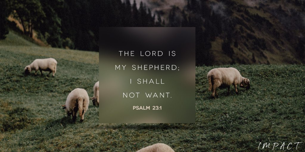 IMPACTFellowshp's tweet photo. Our good shepherd knows what we need as he leads us.

#protector #defender #shepherd #provider #provision #lightoftheworld #christianity #trustGod #trustinGod #washingtondc #Jesuslovesyou #IMPACT #Godgoals #Godlovesyou #thankGod #Godspromise #theWordofGod #grace #christian https://t.co/FHMjVkdKNj
