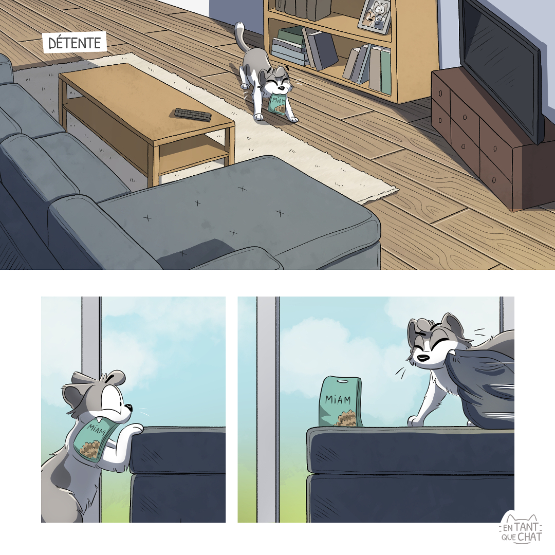 entantquechat's tweet photo. (1/2) Nouveau strip 😺 Une journée ordinaire avec les chats. #bandedessinée #BD #blogbd #planchebd #stripbd #comicart https://t.co/DRvgZDqUE6