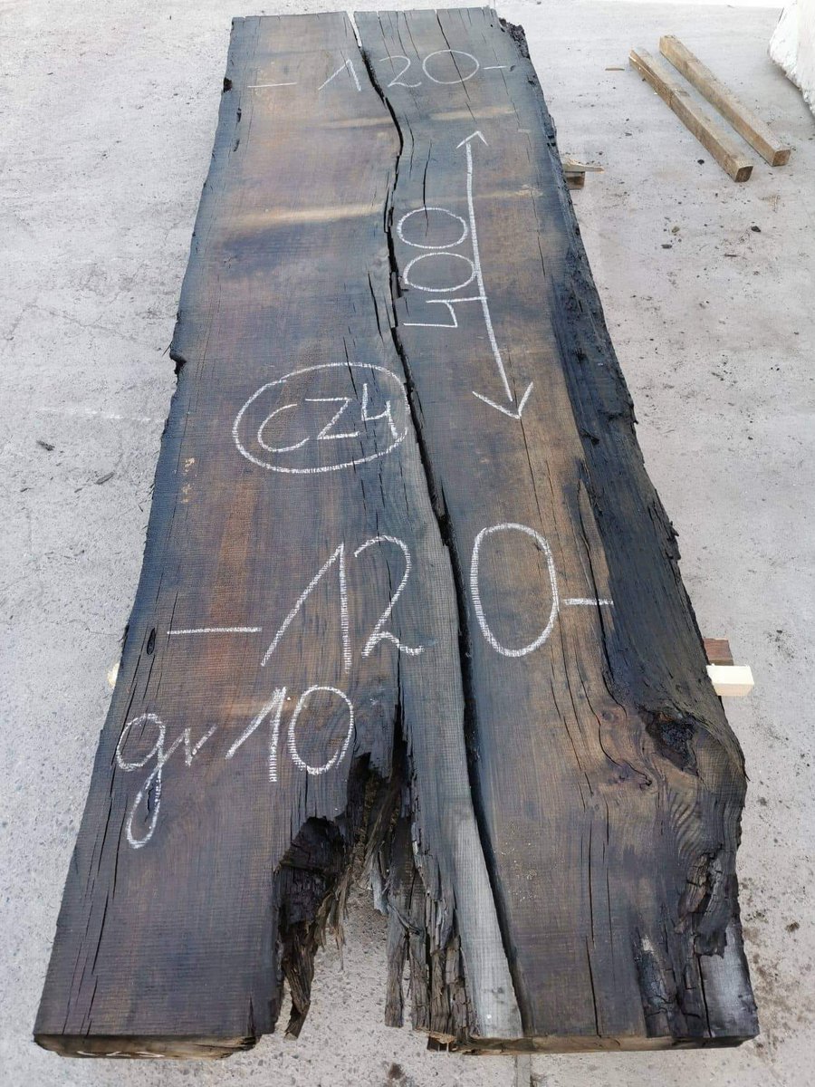 CountertopsV's tweet image. Subfosilní dub mimořádných rozměrů, stáří 8200let