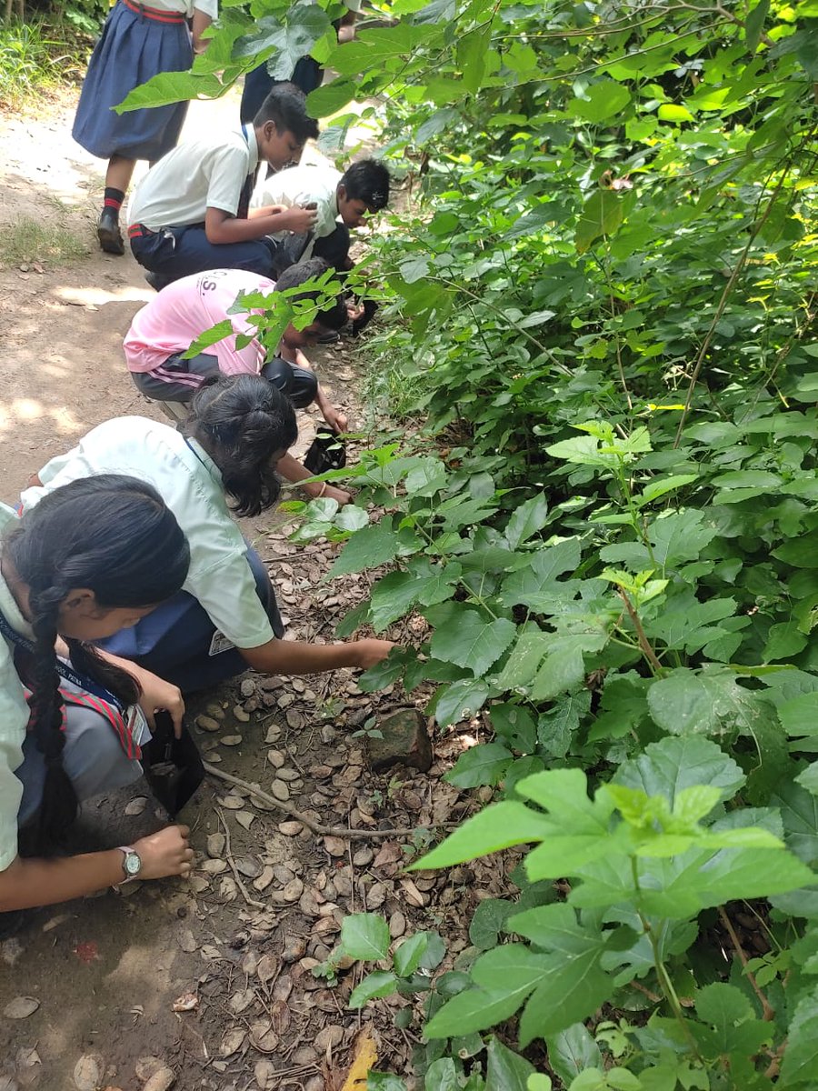 itsourturn2lead's tweet photo. Greetings from tarumitra ashram,

Today students of Holy Cross International School came to visit Tarumitra Ashram, We shared a presentation with them, We also did a small activity with them i.e. binding the bird activity, They also helped in seed collection and pot shiftng. https://t.co/RLclzjoNps