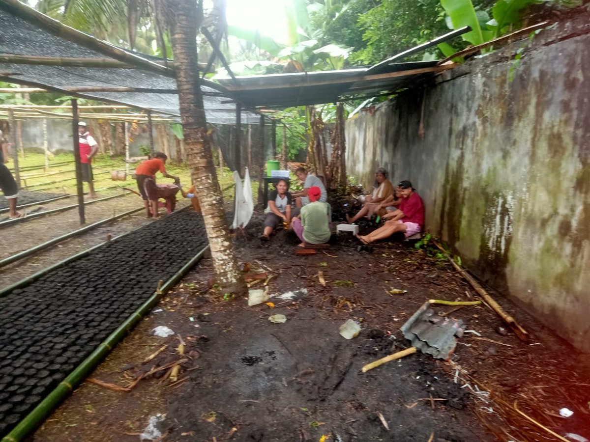 AkeMalamo's tweet photo. Progres Kebun Bibit Desa (KBD) belokasi di Desa Seki Kecamatan Galela Selatan Kabupaten Halmahera Utara. Pengisian Polybag dan Persiapan Persemaian.

#kbd
#ditjenpdasrh
#klhk https://t.co/IAkqj2c8ov