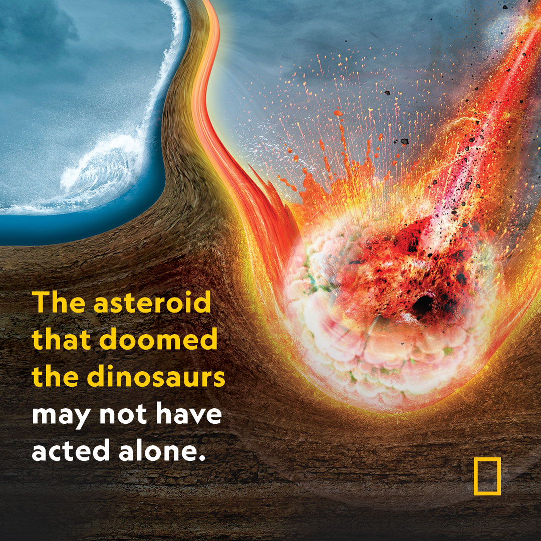 NatGeo's tweet photo. In a catastrophic instant some 66 million years ago, a six-mile-wide space rock slammed into the Earth, leading to the extinction of three quarters of all species. 

But that might not be the whole story https://t.co/Hr2DRGspDp https://t.co/rd4LwSu7AG