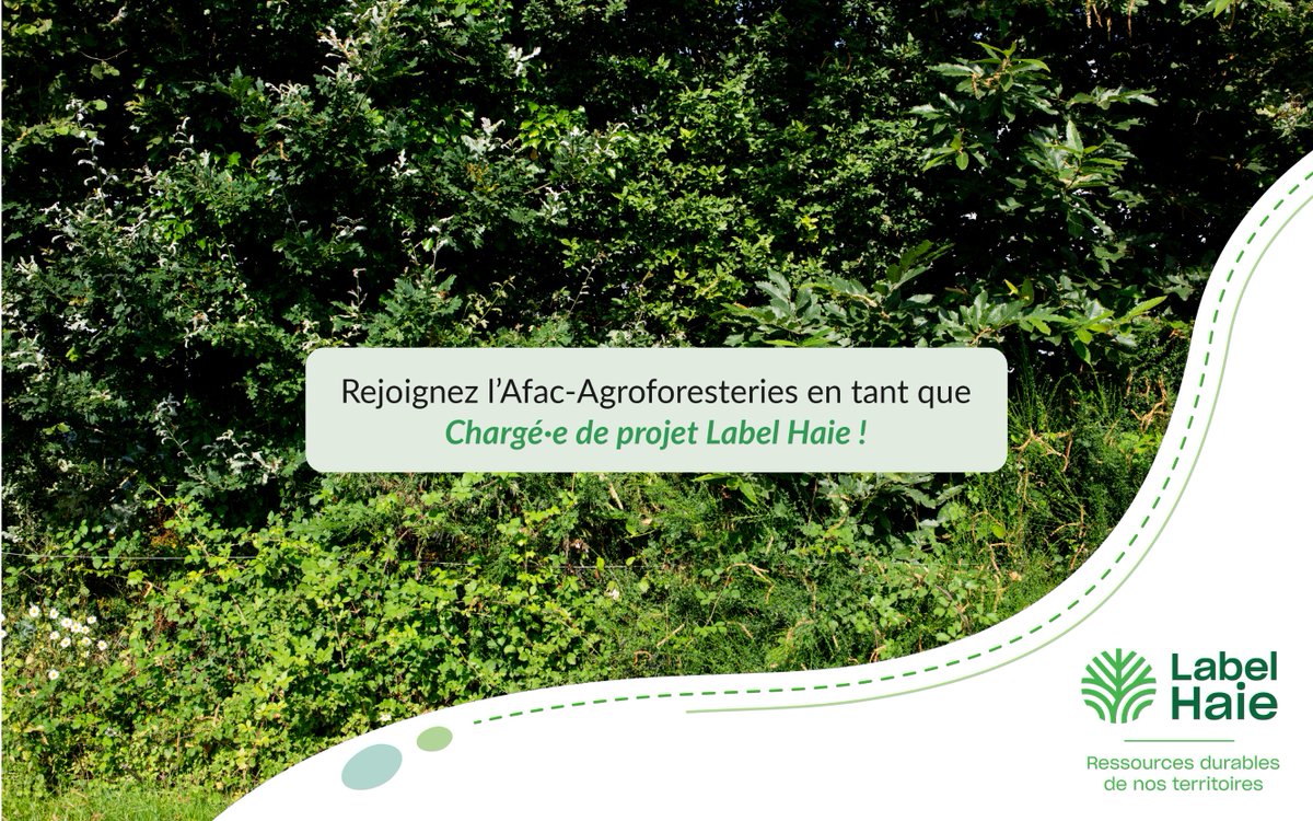 ReseauHaiesFr's tweet photo. 🤝Rejoignez nous pour accompagner le #LabelHaie dans son déploiement dans les territoires et au sein des filières intégrant la valorisation des haies, gérer l'animation nationale et l'administratif du projet.

Postulez ici : https://t.co/4AJxQyNdRv
#recrutement #CDD #agronomie https://t.co/C1wQjBmOUs