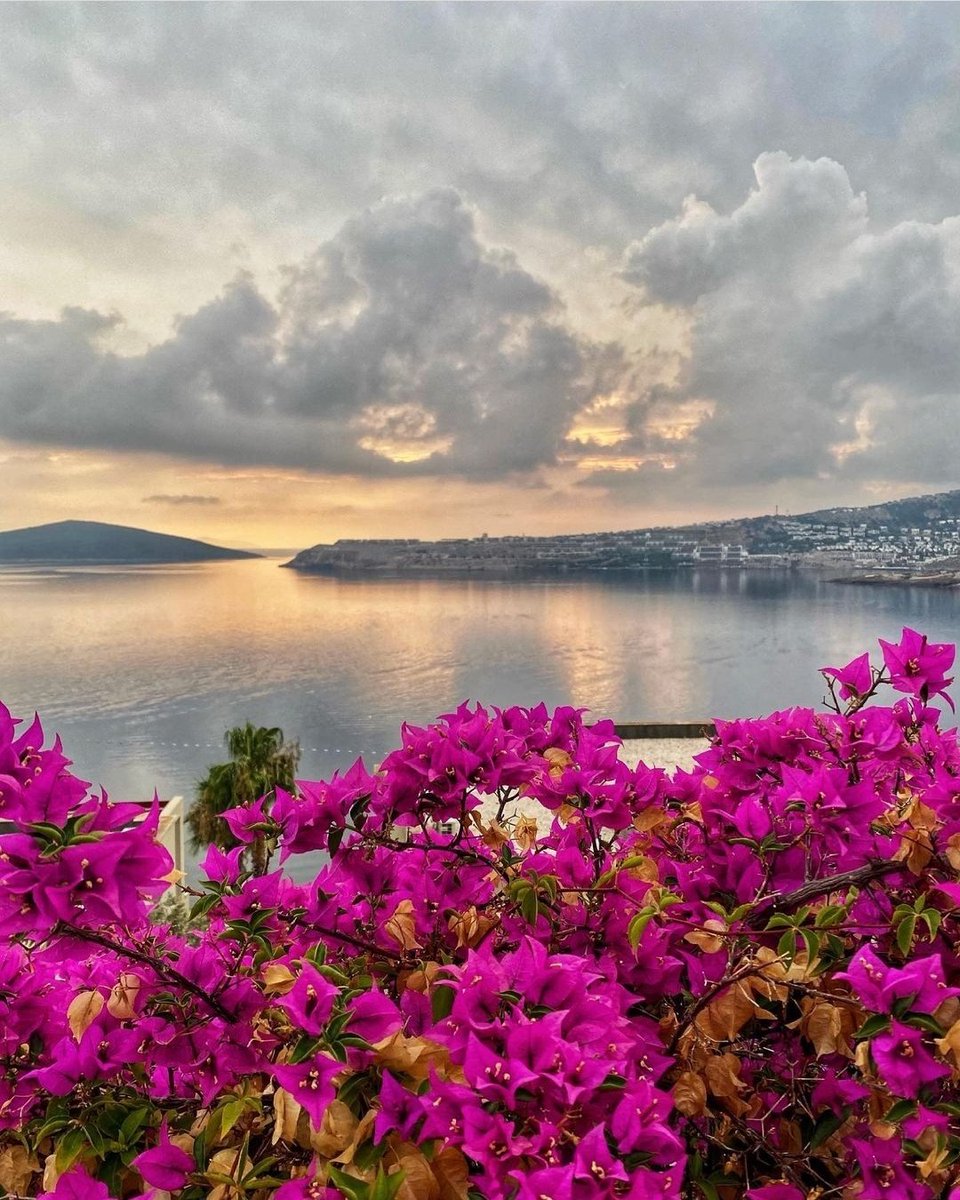 Gündoğan🧡 📸 obilgio