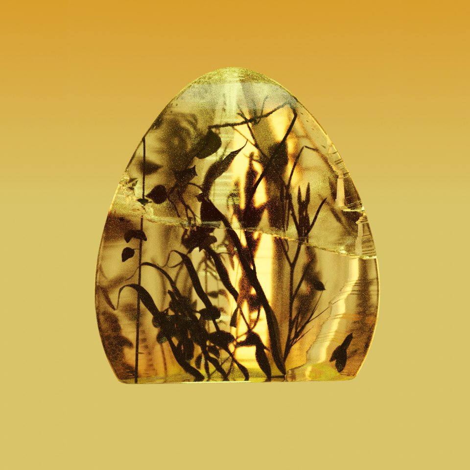 Rodell Warner tweet media