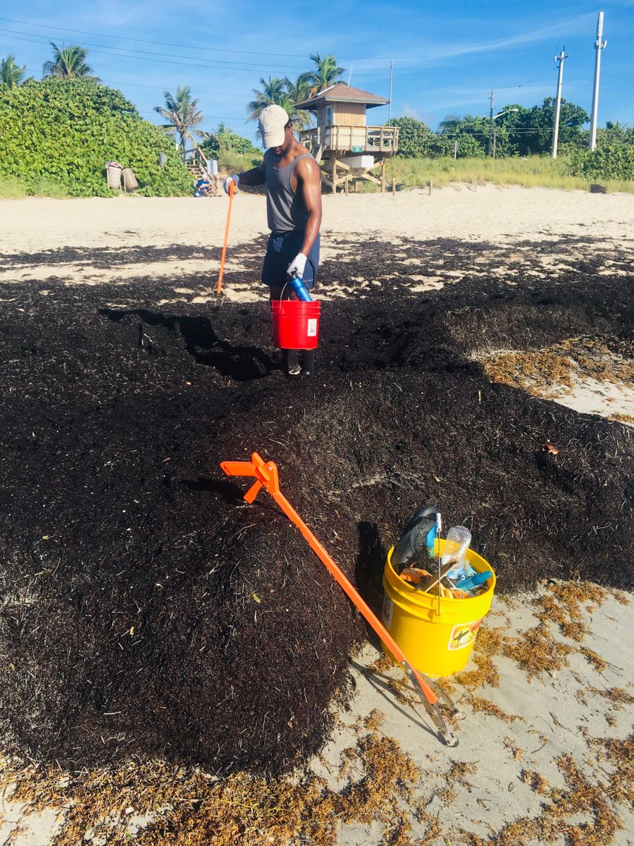 MLRProject's tweet image. Marine Life Rescue Project took Boynton Inlet beaches by storm! This weekend, a group of volunteers collected 94 pounds of trash and debris from the beach. Our hearts are fullest when we’re able to keep precious natural resources clean and healthy!
