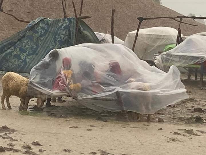 جن لوگوں نے غربت کتابوں میں پڑھیں ہو اور سردی کڑکیوں سے دیکھی ہو ان کو غریبوں کا کیا احساس ہوتا ہے

یا اللّٰہ ہمارے حالوں پر رحم فرمائے اور سندھ بلوچستان میں تمام آفت زدہ غریب عوام کے ساتھ رحم والا معاملہ عطاء فرمائے  😭😭😭
#HelpFlood_Victims