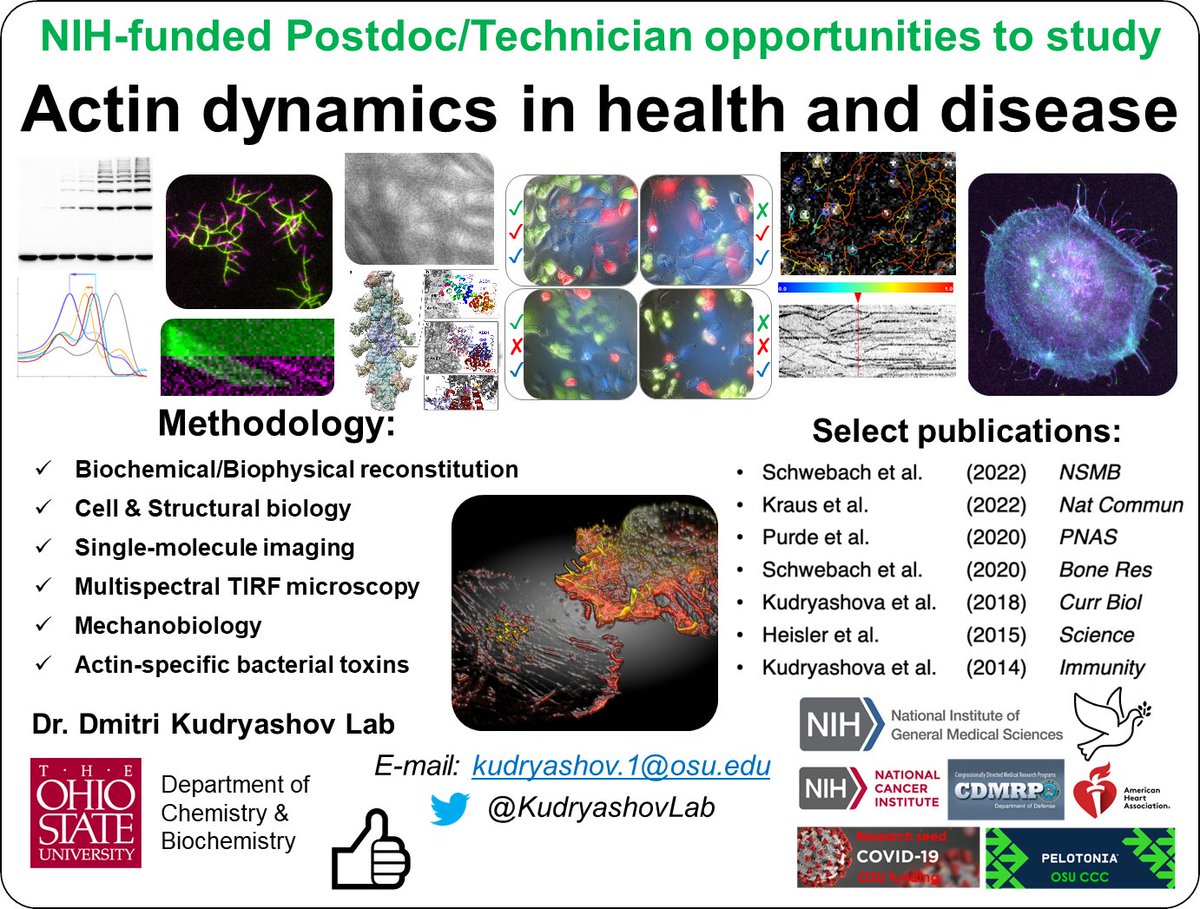 Dmitri Kudryashov tweet media