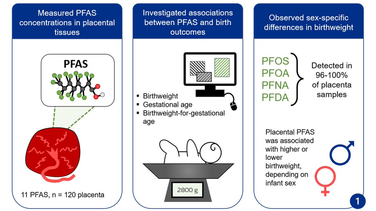 Sam Hall tweet media