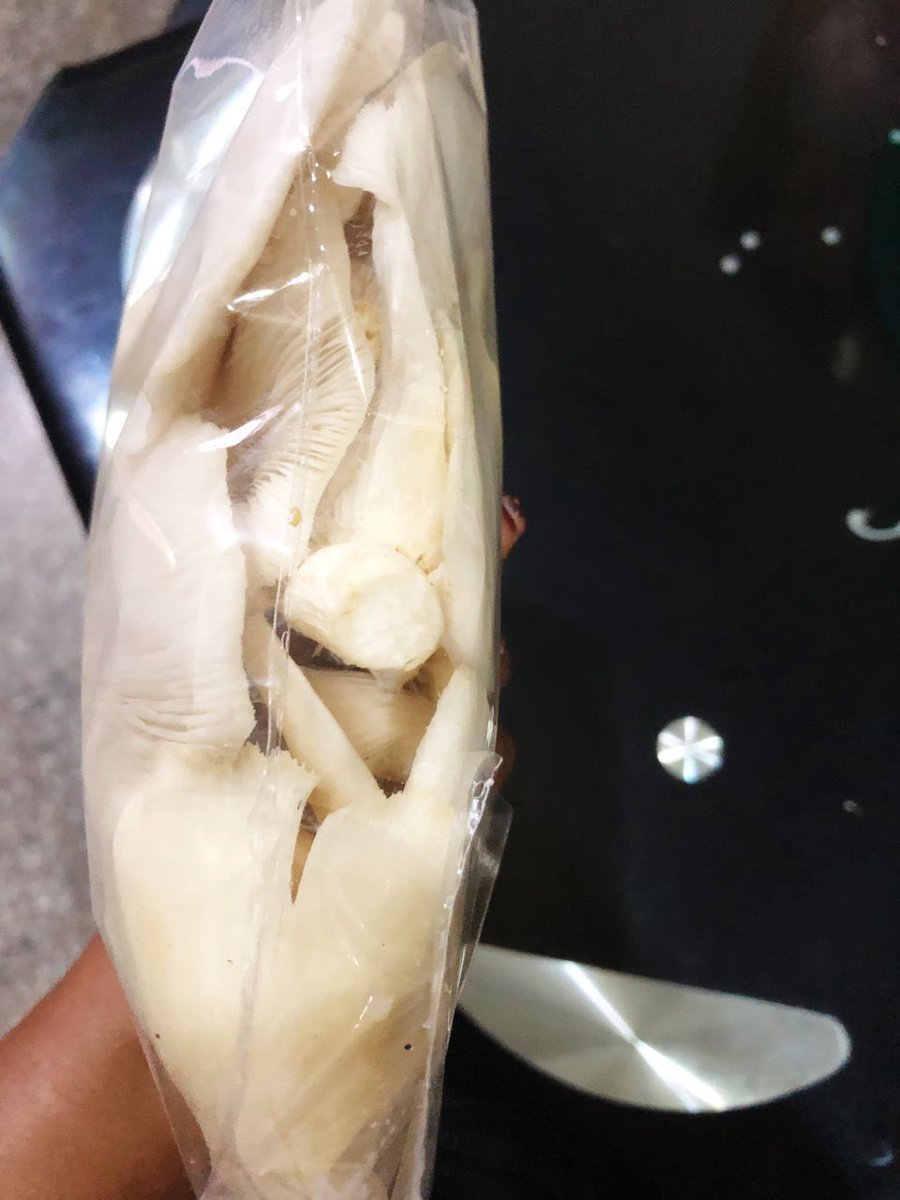 Fresh Mushrooms in Abuja tweet media