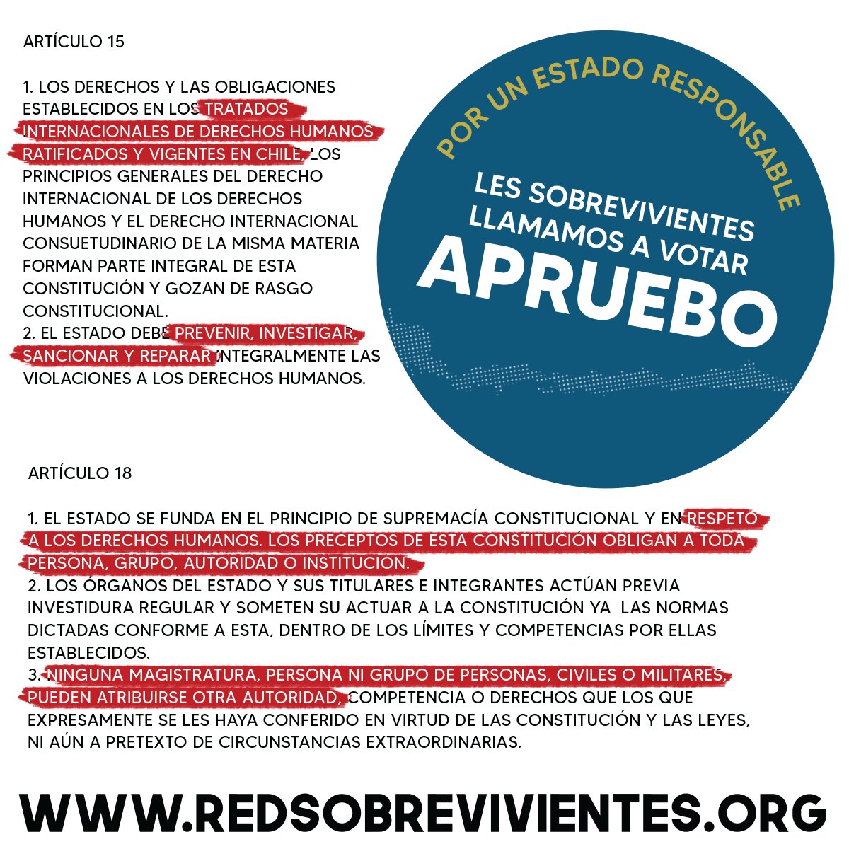 sobrevive_chile's tweet photo. Porque es un asunto de derechos humanos, la Red de Sobrevivientes hace pública su opción de votar APRUEBO. https://t.co/5SpaXVga9K