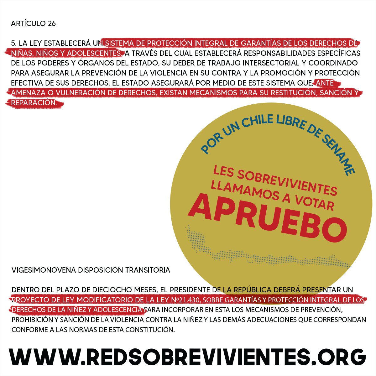 sobrevive_chile's tweet photo. Porque es un asunto de derechos humanos, la Red de Sobrevivientes hace pública su opción de votar APRUEBO. https://t.co/5SpaXVga9K
