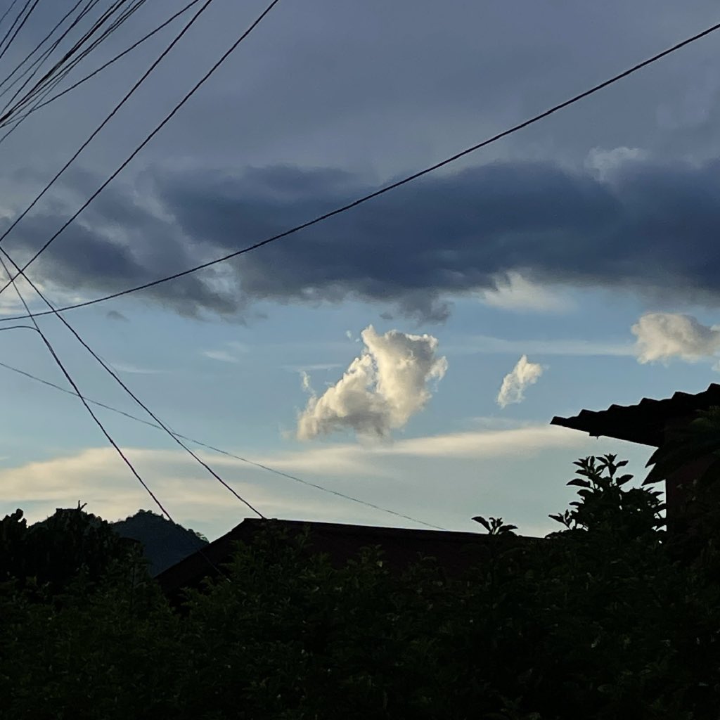 豆子世界 tweet media