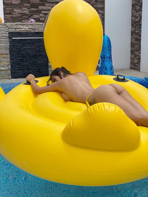Quien para nadar juntos 🥵 https://t.co/npYnavSzH3 Estoy cumpliendo tus fetiches.  Mandame un mensaje<a href="/tag/nuevafotodeperfil"class="tags"><span>#nuevafotodeperfil</span></a>