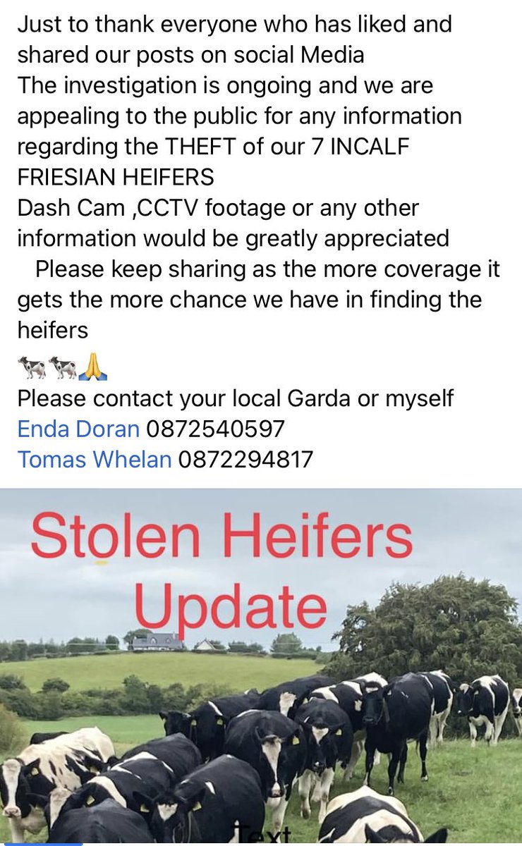 Enda Doran tweet media