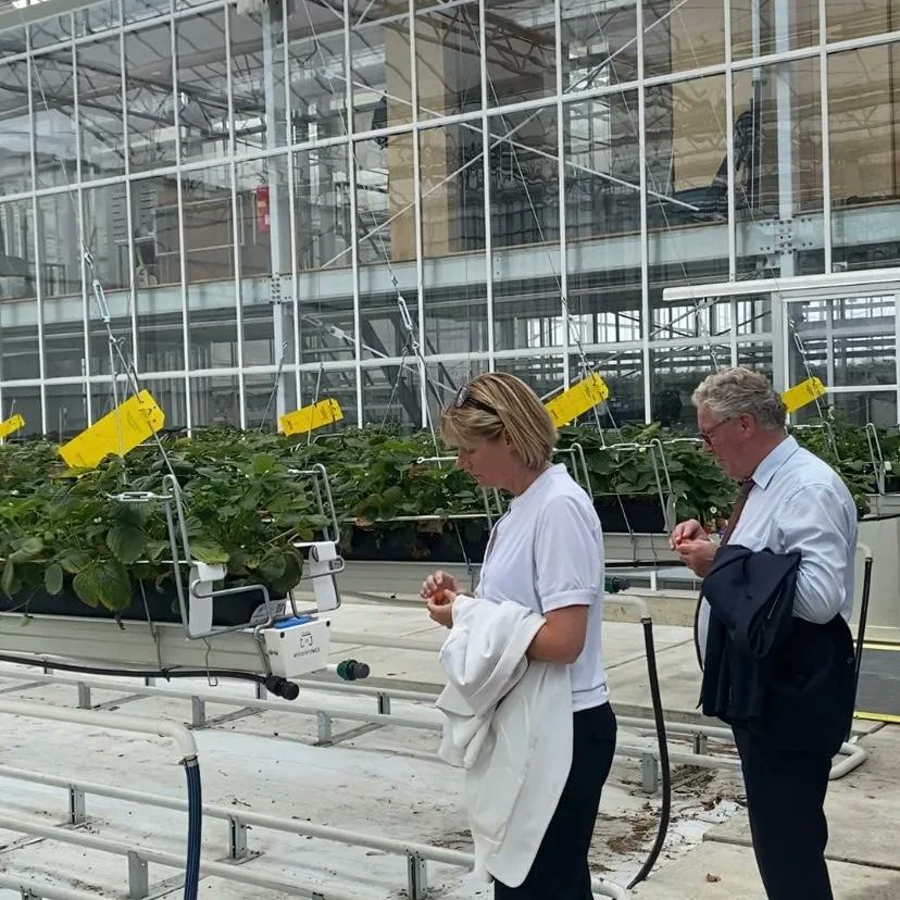 HelgaWitjes's tweet image. Met het college van de @provgelderland op bezoek bij @FloriadeExpo Almere 2022 
Hele mooie voorbeelden van innovaties in de tuinbouw/voedselsector en stappen die we daarin kunnen zetten. Leuk om dit te proeven en te voelen.
Een aanrader!