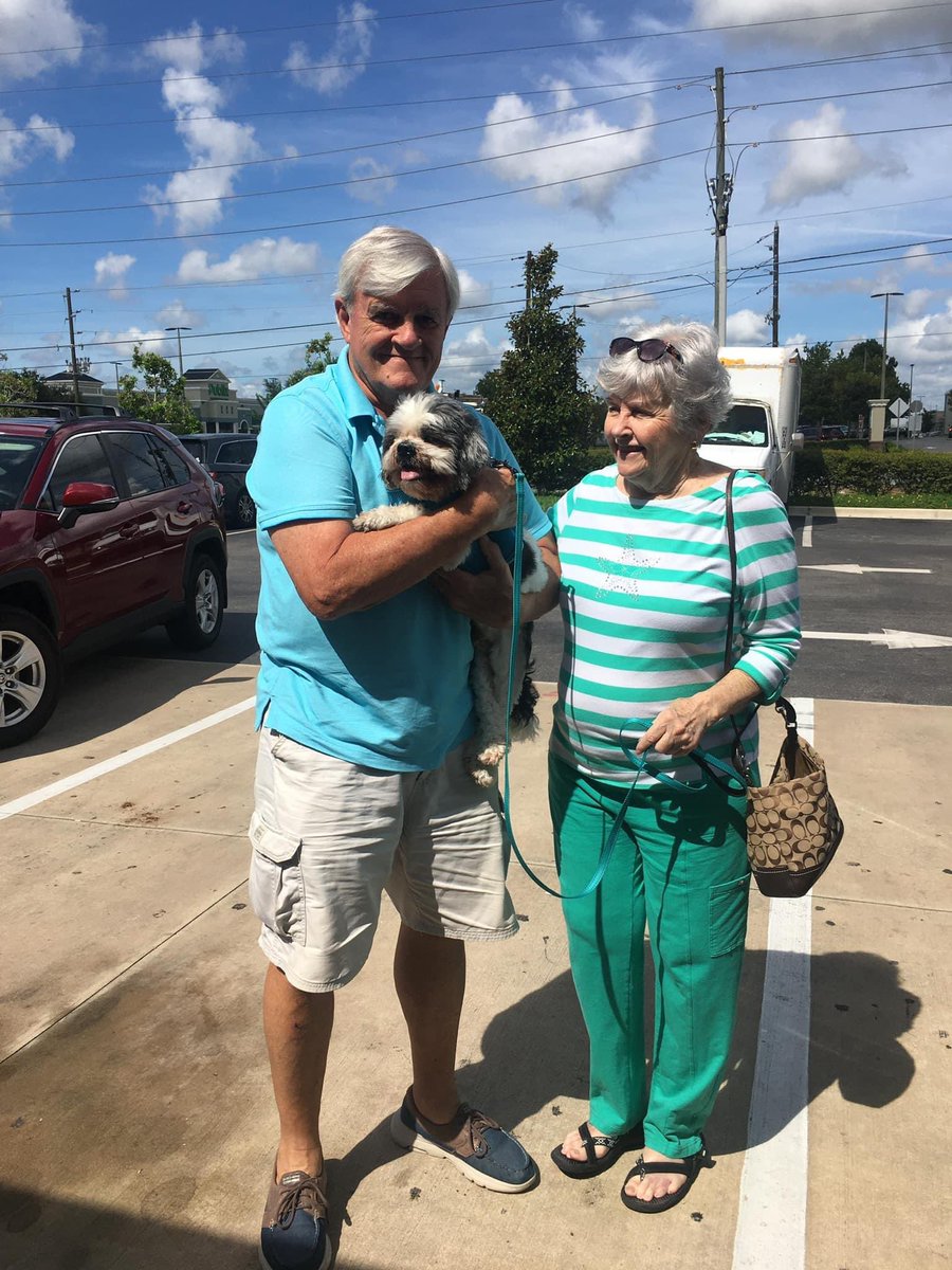 100+ Abandoned Dogs tweet media