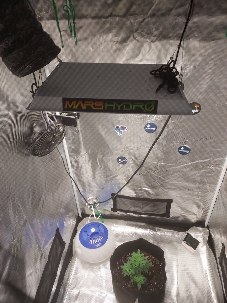 💙💙 <a href="/irvineseedco/">Irvine Seed Company</a> <a href="/MarsHydroLight/">Mars Hydro | Since 2009</a> 
#marshydrotent
#CannabisCommunity 
#irvinearmy