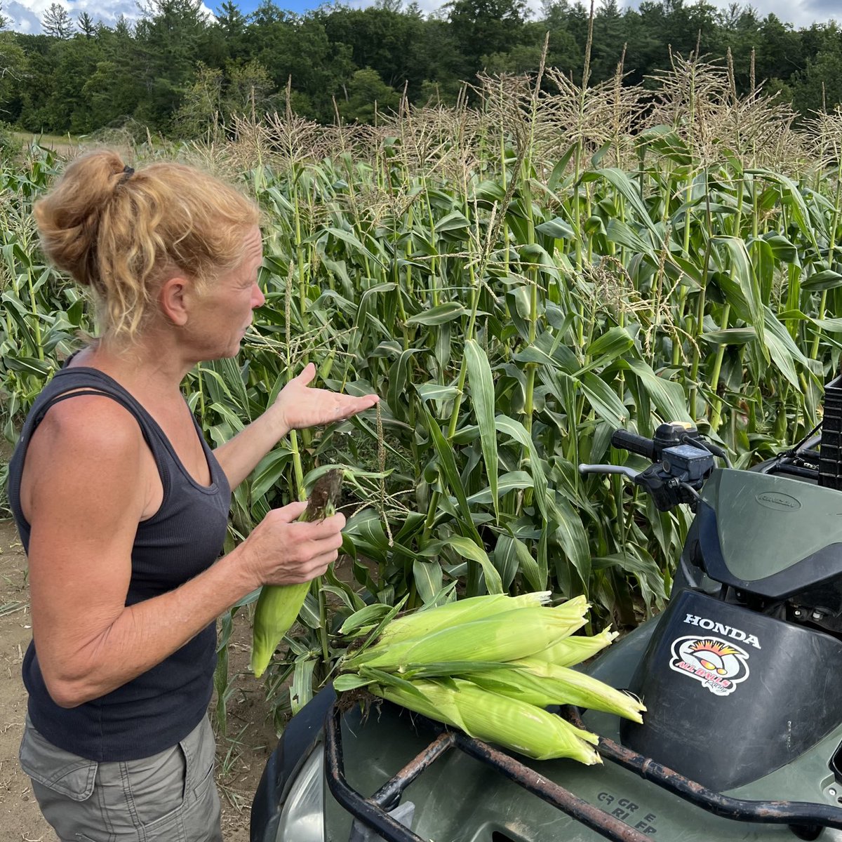 BJ_Roche's tweet photo. When the last customer at the farm stand cleaned out the corn, but if you have a minute, she can pick you a dozen…#inthe413 https://t.co/ji1kJ0KRxx